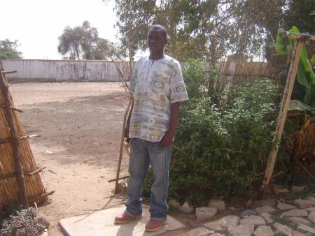 lamine